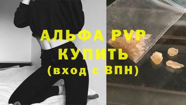 сатива Березники